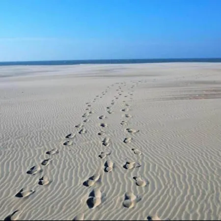 Apartment In By Sandy Beaches, Cleaning Included Nieuwpoort
