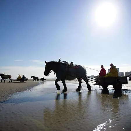 In By Sandy Beaches, Cleaning Included 아파트 *
