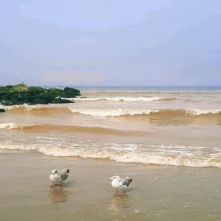 In By Sandy Beaches, Cleaning Included Apartment *